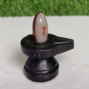 Narmadeshwar Shivling