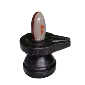 Narmadeshwar Shivling